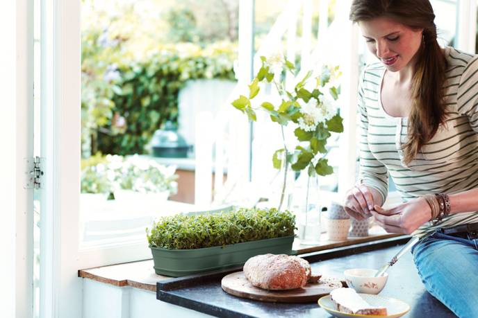 green basics kweektray l blad groen